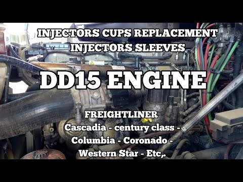Freightliner Cascadia DD13 DD15 ENGINE Injectors Cups Replacement Fuel In Coolant Coolant In Fuel