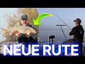 Neue ANGELRUTE Direkt Barbe Nebliger Novembertag Mit Starken Fischen Neue ANGELRUTE Direkt Barbe Nebliger Novembertag Mit Starken Fischen
