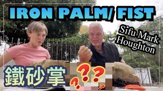 Iron Palm/ Fist 鐵砂掌