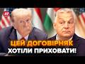 ⚡Тепер УСЕ ЯСНО! Ось, чому Орбан НАСПРАВДІ ПРИПХАВСЯ до Трампа. Випливло НЕСПОДІВАНЕ про ПЕРЕГОВОРИ