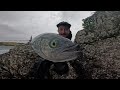 KERMADEC KAHAWAI??