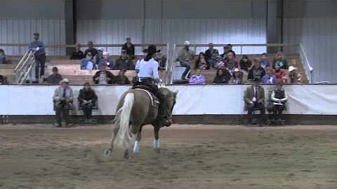 Shawna Sapergia showing Shes A Hot Step - Reining ...