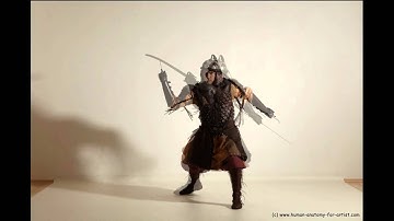 Human Anatomy References - Gothic Knight With Two Swords