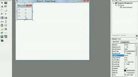 Visual Basic 6.0 Option / Check Box