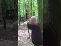 34yd Miss! Red X Block. #archery #sport #outdoors #hobby #practice #friends #fun #nature #ok #3d