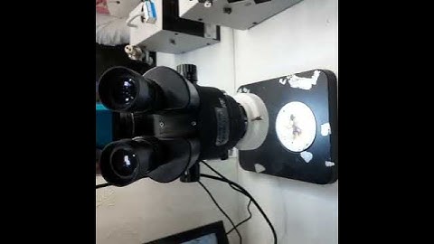 Flexgate Cable Repair a1706 LED Cable back light Wire connector for Macbook series