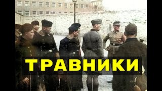 Травники  - Без срока давности