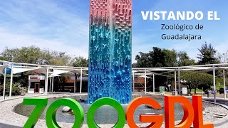 RECORRIENDO EL ZOOLOGICO DE GUADALAJARA