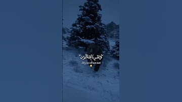 #تلاوة_خاشعة #عبدالرحمن_مسعد #اكسبلور #لايك #قرآن #راحة_نفسية #الله #حالات_واتس #عبدالرحمن_مسعد