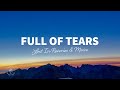 Lost In Reveries &amp; Moise - Full Of Tears (Lyrics)