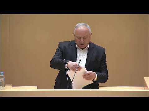 პაატა კვიჟინაძის გამოსვლა პარლამენტის პლენარულ სხდომაზე