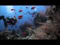 Фильм 3 Дайвинг сафари яхта Тала Shark &amp; Yolanda reefs Ras Mohammed Съемка камерой GoPro Hero 3+