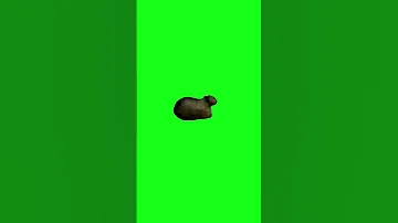رياكشن صوت القطة أوء ايء أوء ايء Oo Ee Aa 