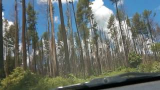 Jelajah bukit cemara gunung kelud