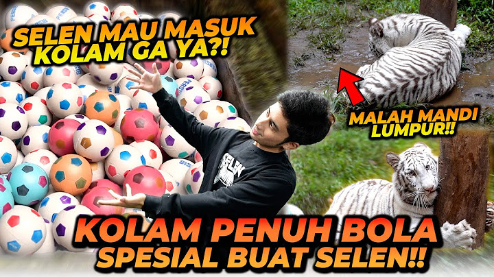 RENCANANYA AJAK SELEN MANDI BOLA ! TAPI REALITA TIDAK SESUAI EKSPEKTASI !!