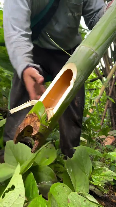 Traditional bamboo cutting skills #bamboo #handfish #netfishing #bamboo1 #asmr #asmrcutting