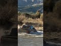 Raptor VS Raging River: Can Ford's Beast Make It?