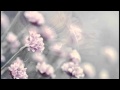 Lotus flower  eric chiryoku  album spring of life 