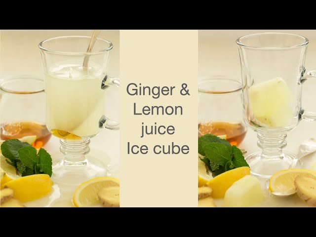 Lemon and Ginger Ice Cubes - PlantYou