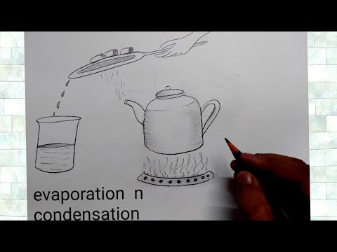 examples of condensation for kids