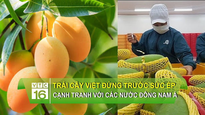 Trái cây Việt đứng trước sức ép cạnh tranh với các nước Đông Nam Á | VTC16