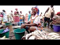 The Most Famous FISH MARKET in GHANA!! Eating Waakye + Elmina Castle Tour | Elmina, Ghana