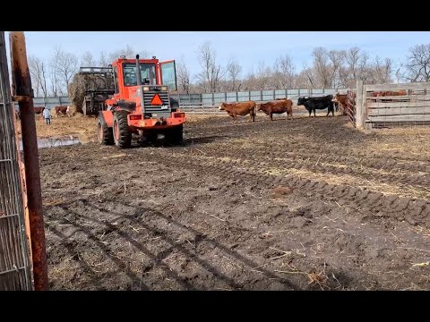 What it's Like to Live on 2,000 Acre Ranch in North Dakota - Life On The Farm