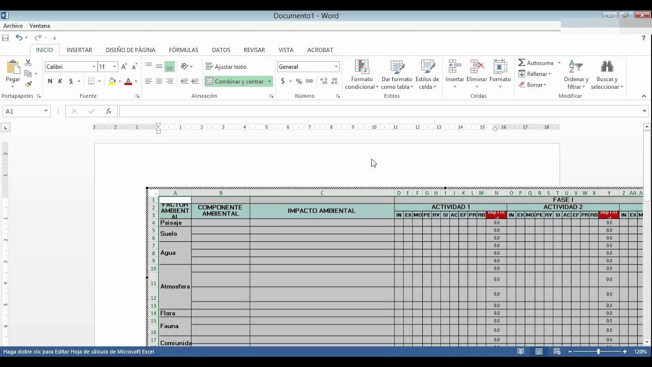 Insertar tabla excel en word