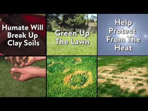 Humate Soil Conditioner for Lawns - Organo-Lawn