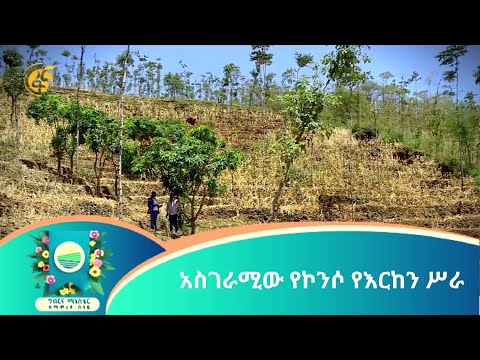 አስገራሚው የኮንሶ የእርከን ሥራ