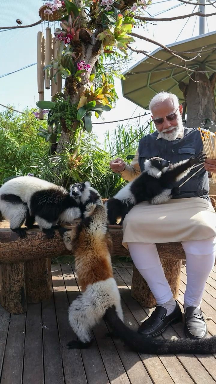 Vantara – A new home for rescued animals