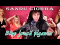 Sandu Ciorba - Romanian gipsy music - Vol 10