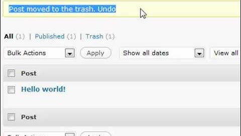 "Wordpress Made Simple" - Editing Posts