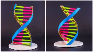 Science Projects | DNA Structure Model