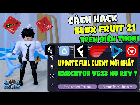 Cách Hack Blox Fruits 21 Trên Điện Thoại Update Full Client Mới V623 FIX Mọi Lỗi Auto Farm No Kick