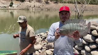 Pura tilapia grande con Nito y Juan