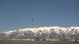 align trex 600 nitro (engine tuneing and 3d flying)