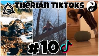 Therian Tiktoks #10