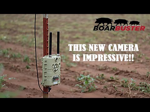 BoarBuster Hog Trap now has two 4G cameras on both AT&T and Verizon!!