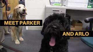 Meet WCSO's K 9 Crisis Response Team