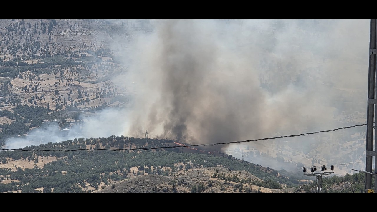 Adıyaman’da ormanlık alanda yangın