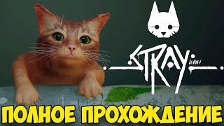 Stray полное прохождение! Милый котик киберпанк \ Игра про кота