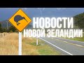 НОВОСТИ Новой Зеландии 23.10.2020