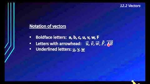 Vector & Position Vector