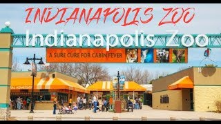 A Trip To Indianapolis Zoo - Indiana