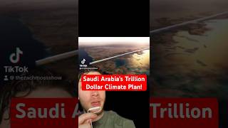 Saudi Arabia’s Trillion-Dollar Climate Plan