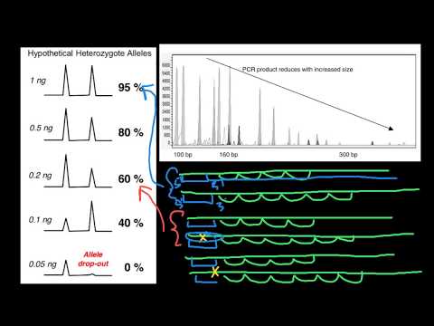 Video: Elektroferogram ne gösterir?