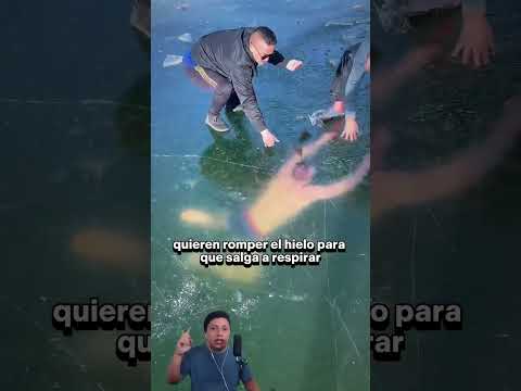 Video: Fundamentos de pesca de delfines para principiantes