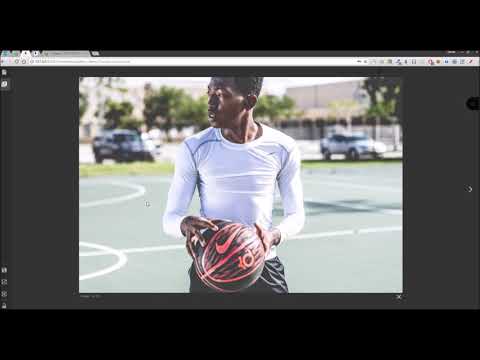 Stack WordPress Theme - Using Variant Gallery Blocks
