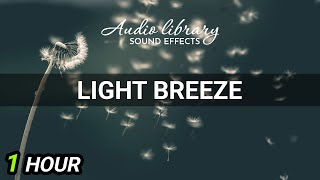 Light Breeze • No Copyright Sounds Effects (1 Hour Version)